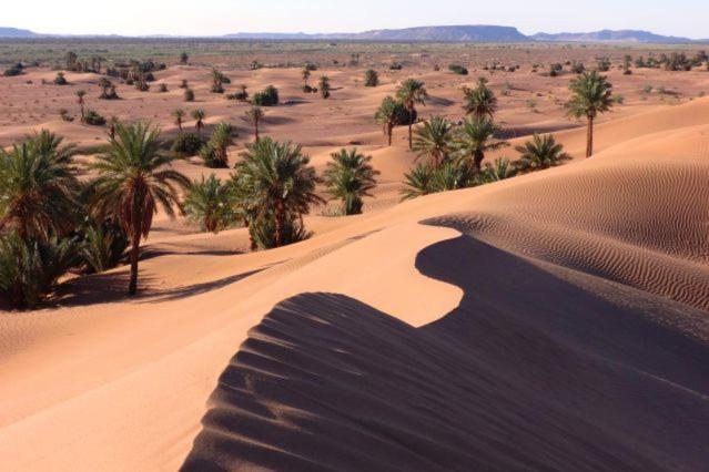 Camp Sahara Holidays Мхамид Екстериор снимка