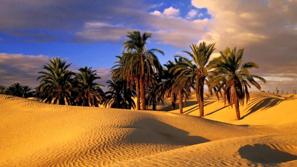 Camp Sahara Holidays Мхамид Екстериор снимка