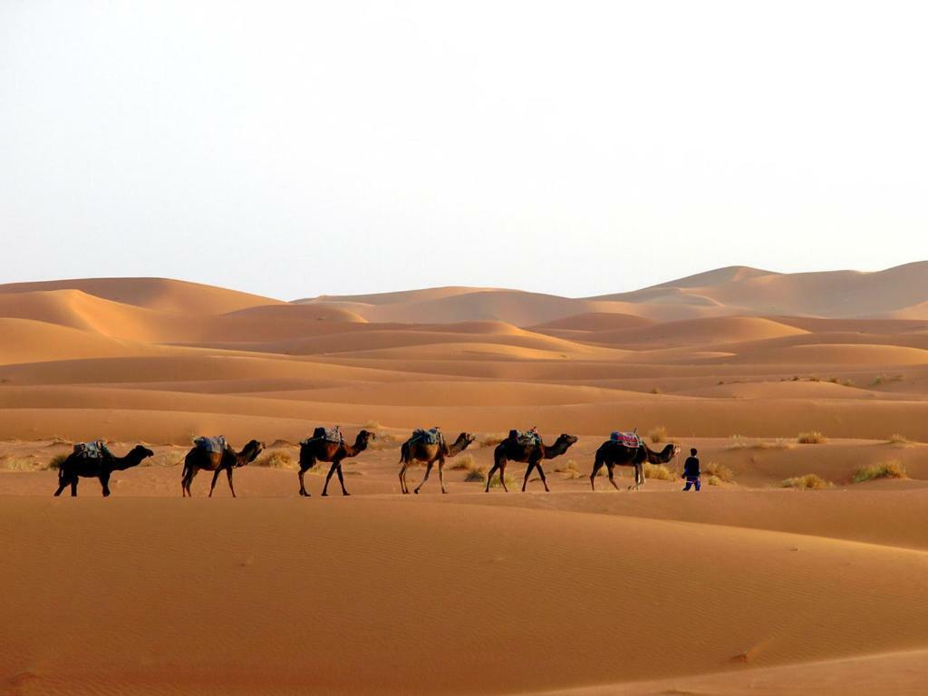 Camp Sahara Holidays Мхамид Екстериор снимка